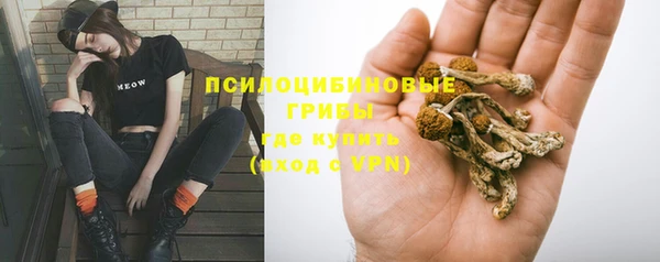 мяу мяу мука Балахна