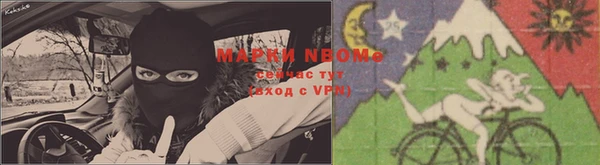 шишки Балабаново