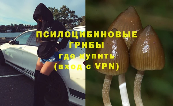 шишки Балабаново