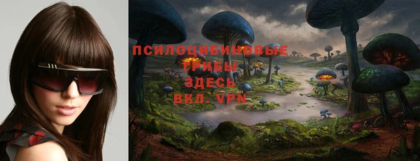 кокс Баксан