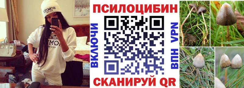 купить закладку  Котельниково  Галлюциногенные грибы Magic Shrooms 